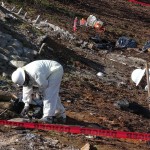 Clearing by hand