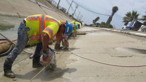 Photo courtesy of PG Cutting.